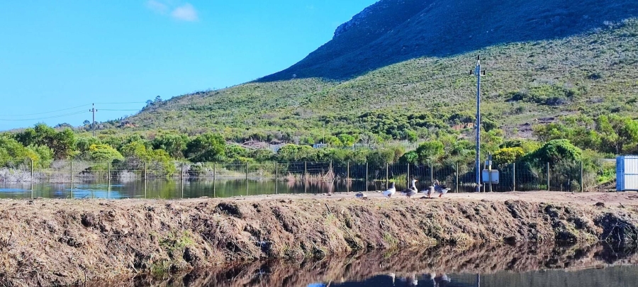 2 Bedroom Property for Sale in Franskraal Western Cape